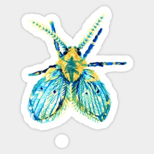 Drain Fly Sticker